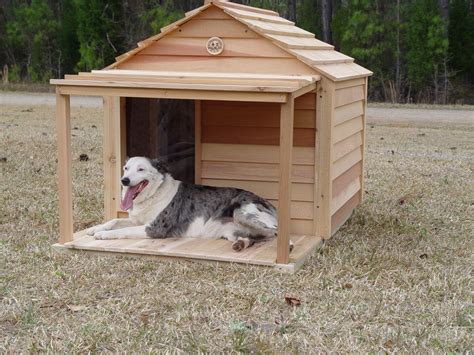 insulated large outdoor dog houses